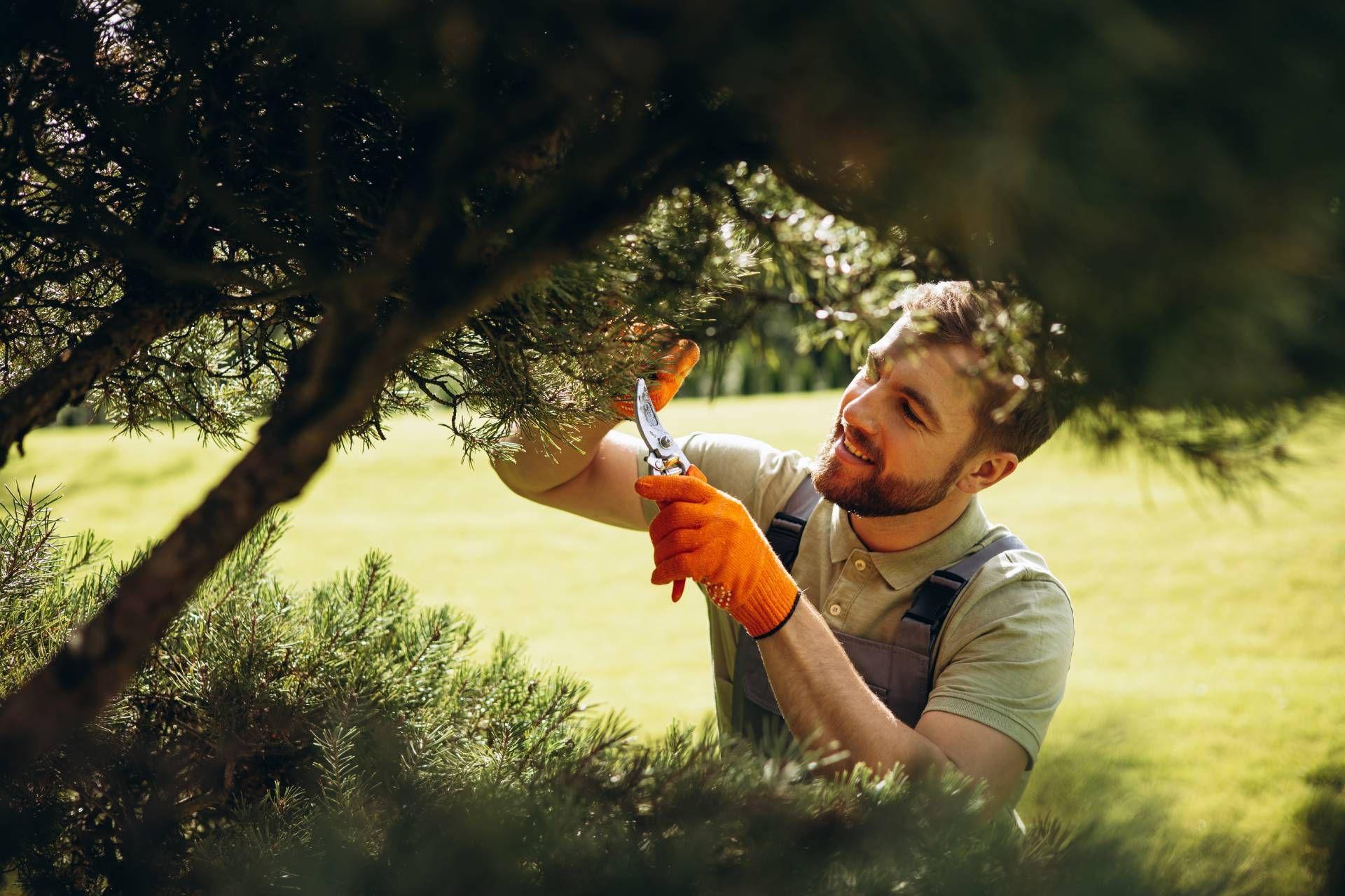 Formation Gestionnaire d'espaces naturels image