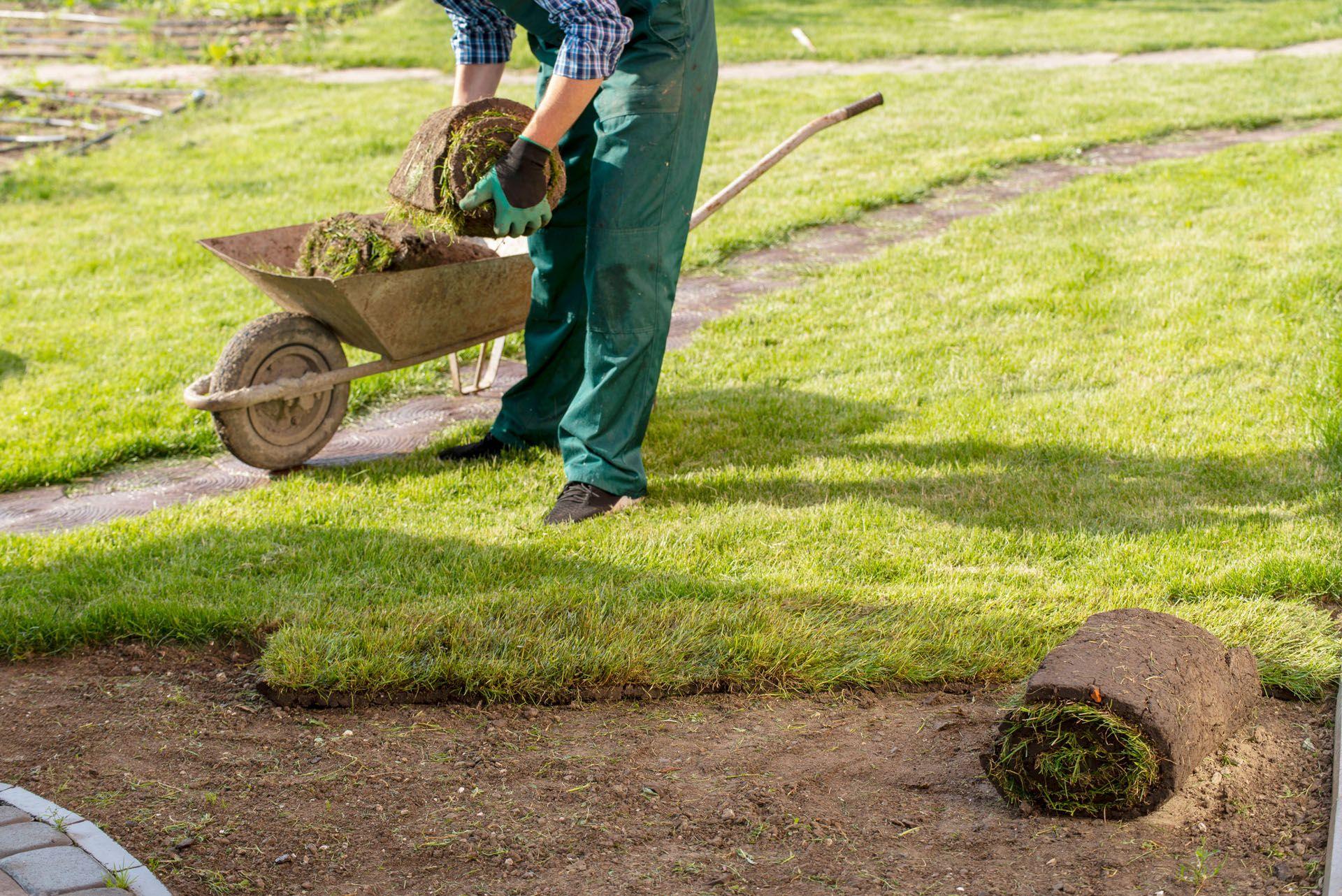 Un jardinier qui prend soin de la pelouse