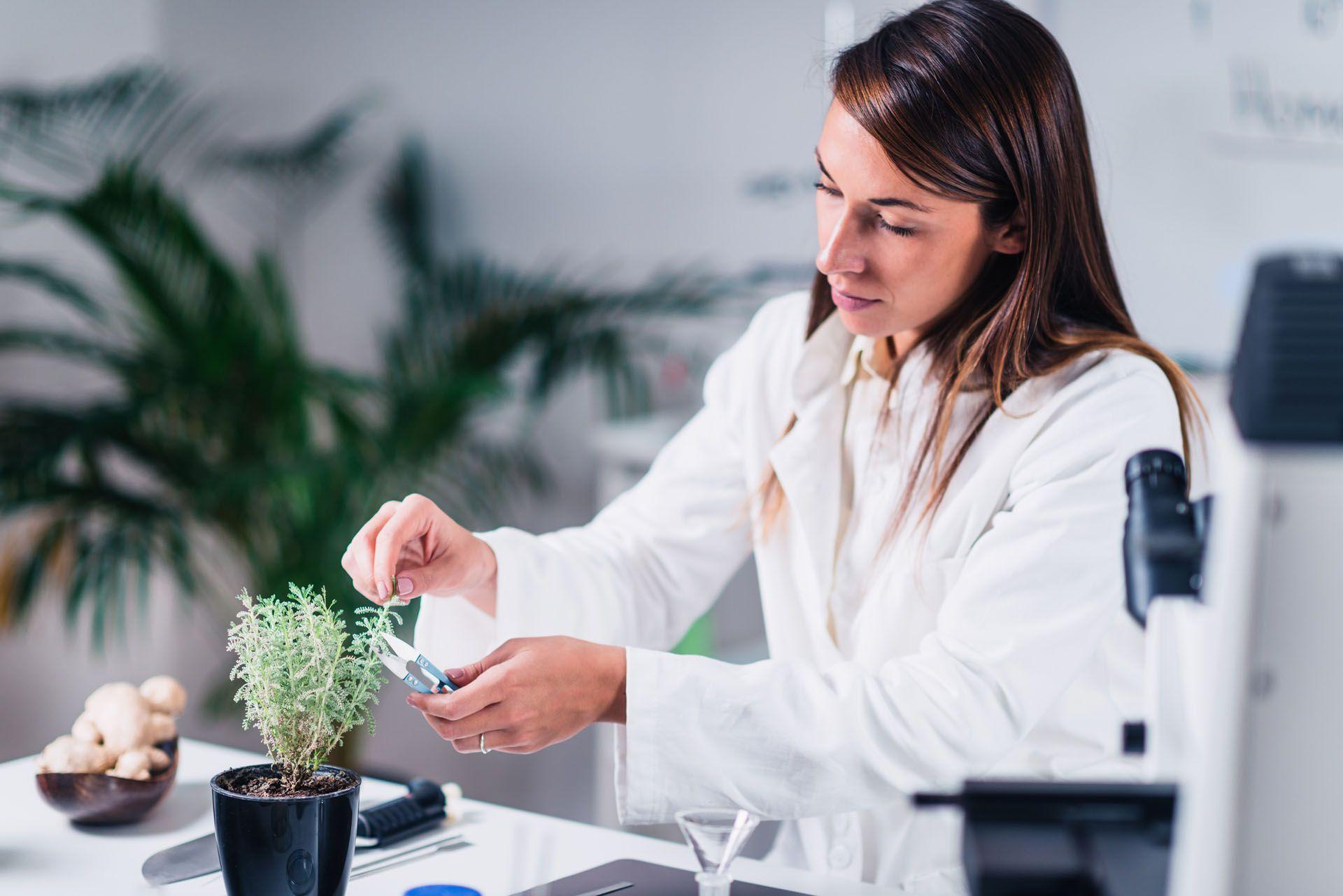 Un naturopathe dans l'exercice de ses fonctions