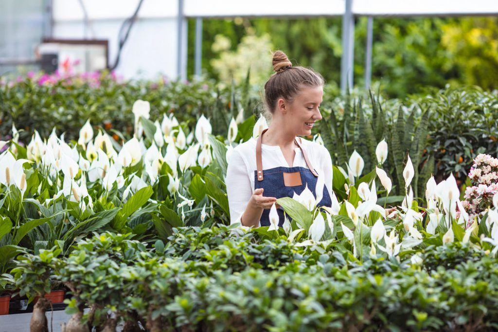 Une vendeuse en jardinerie
