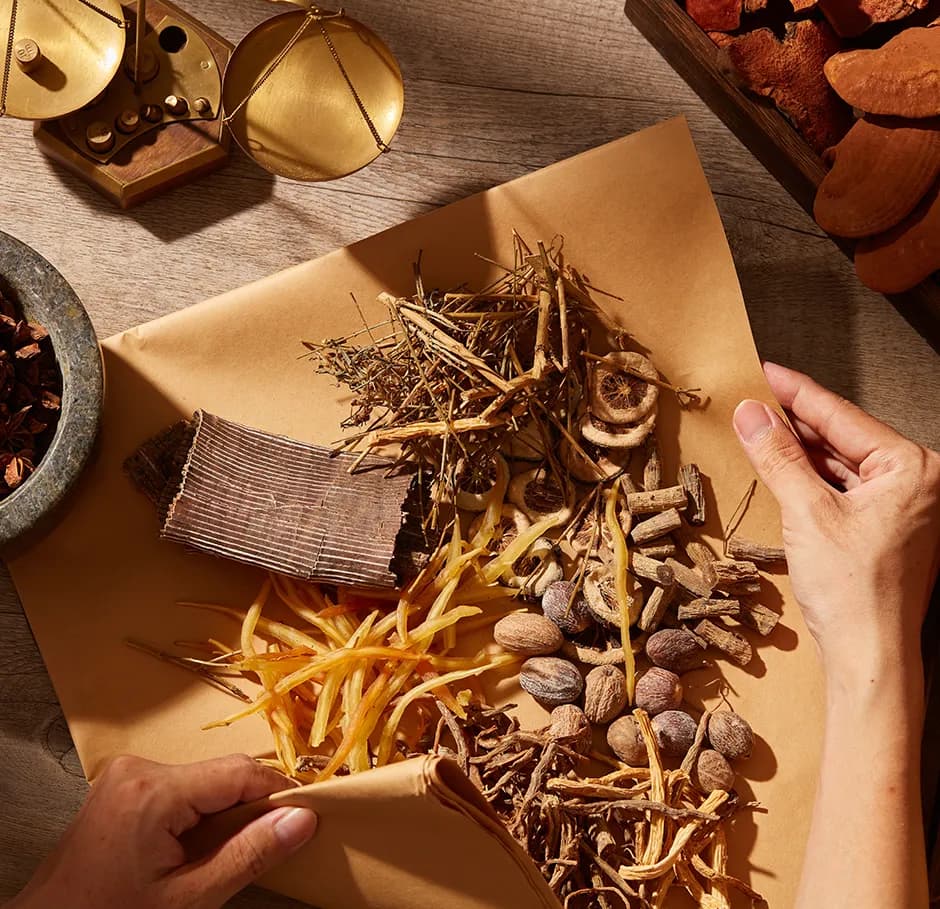 Specialization Mycothérapie