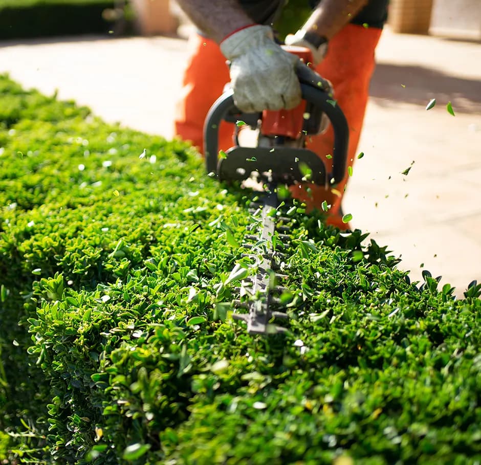 Specialization Paysagisme